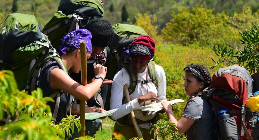 Four students wearing backpacks examine a map while standing amongst thick greenery.